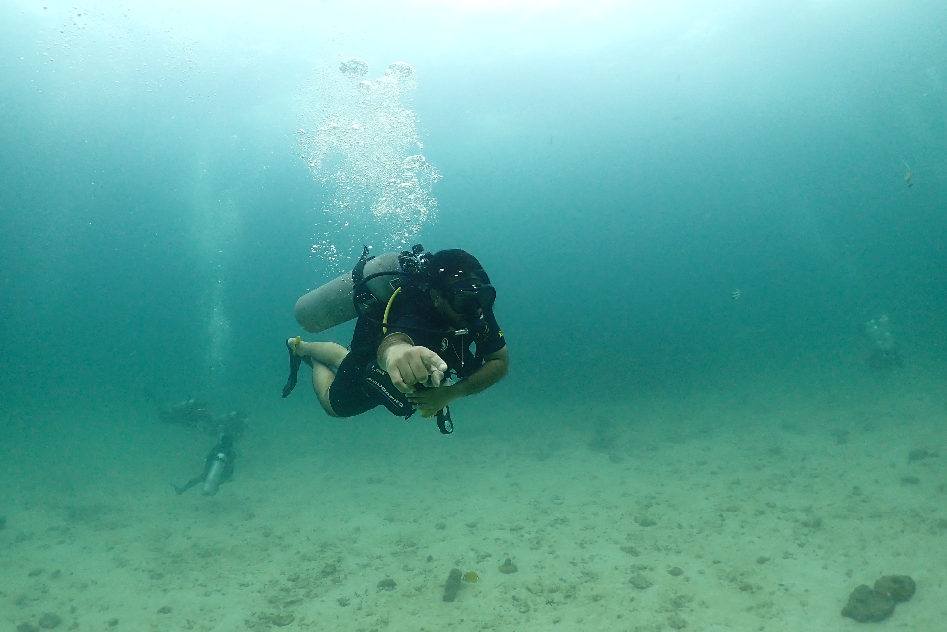 Open Water Diver (OWD)