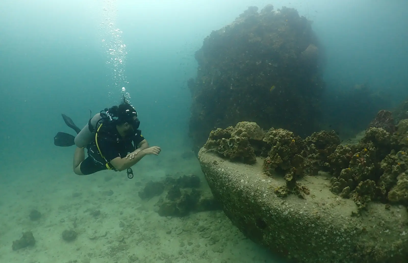 Why You Should Try Scuba Diving