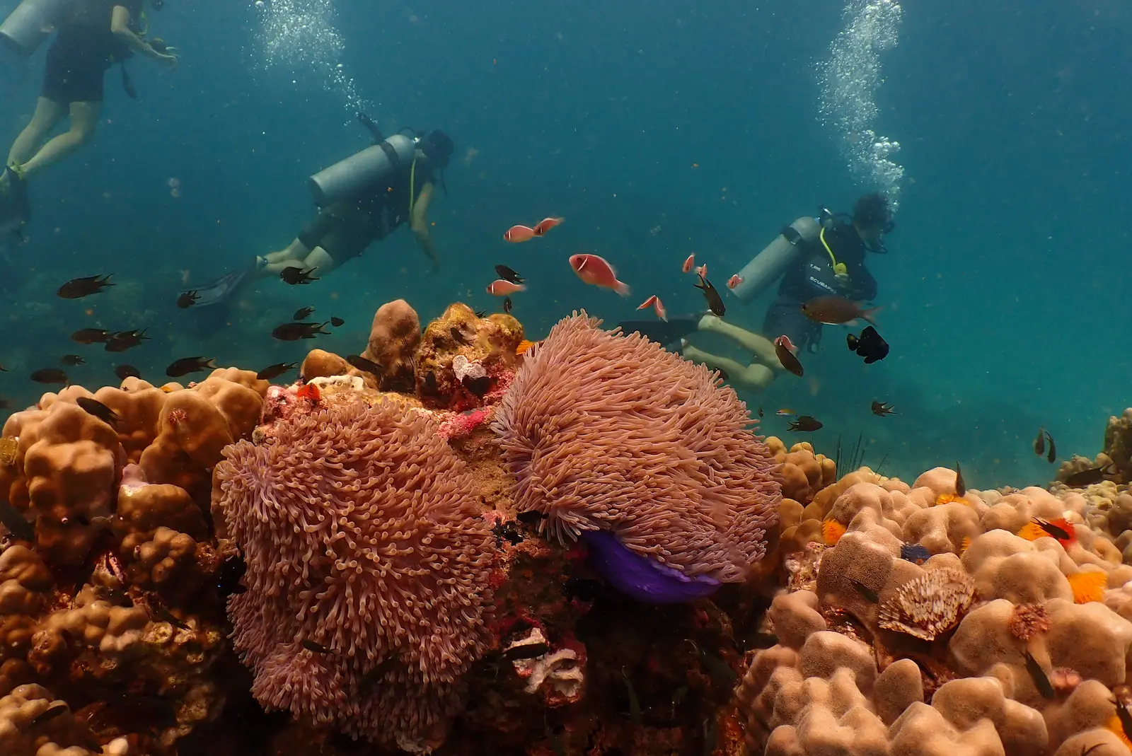 Advanced Open Water Diver (AOWD)