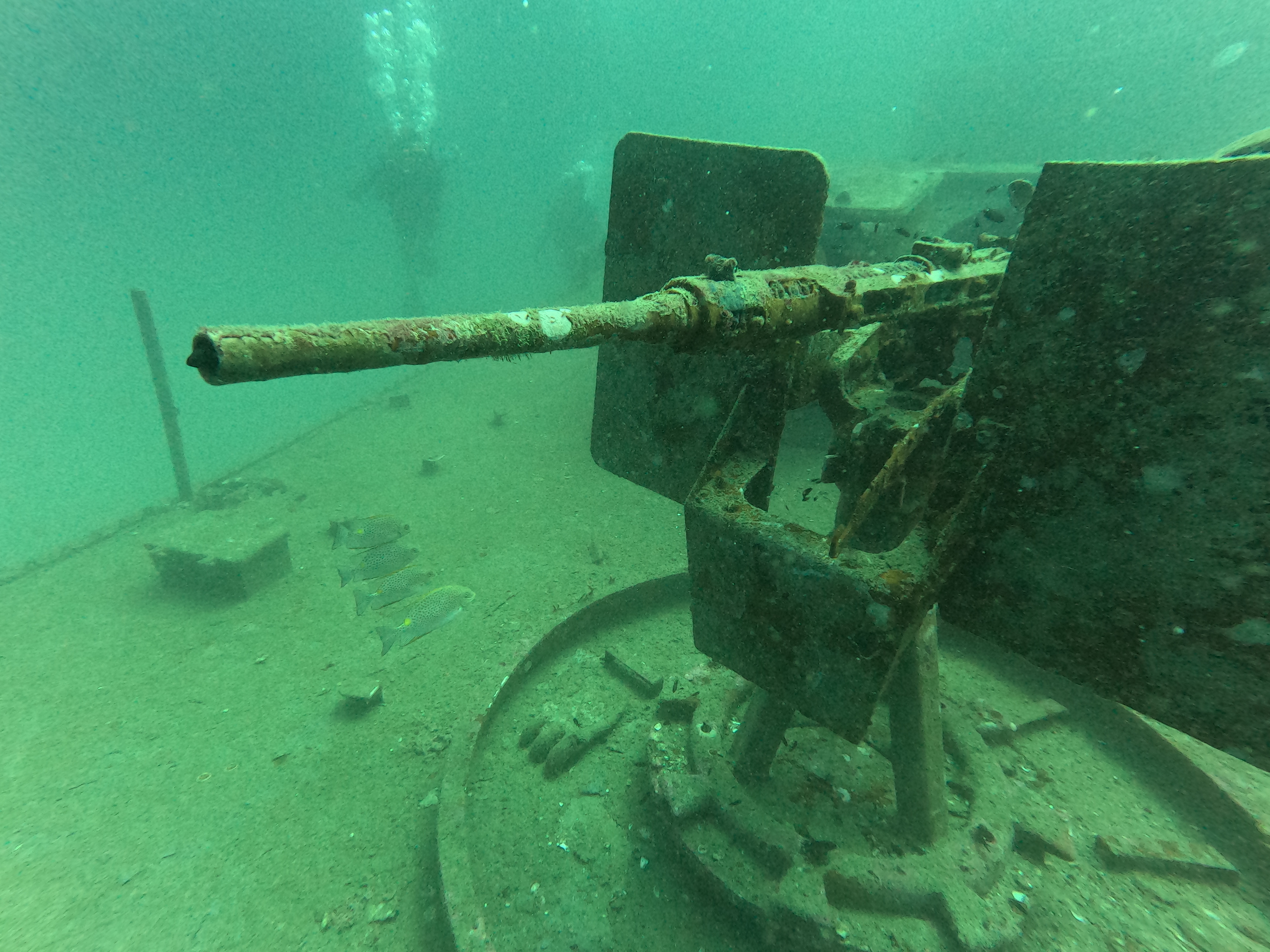 313 - Shipwreck image 3