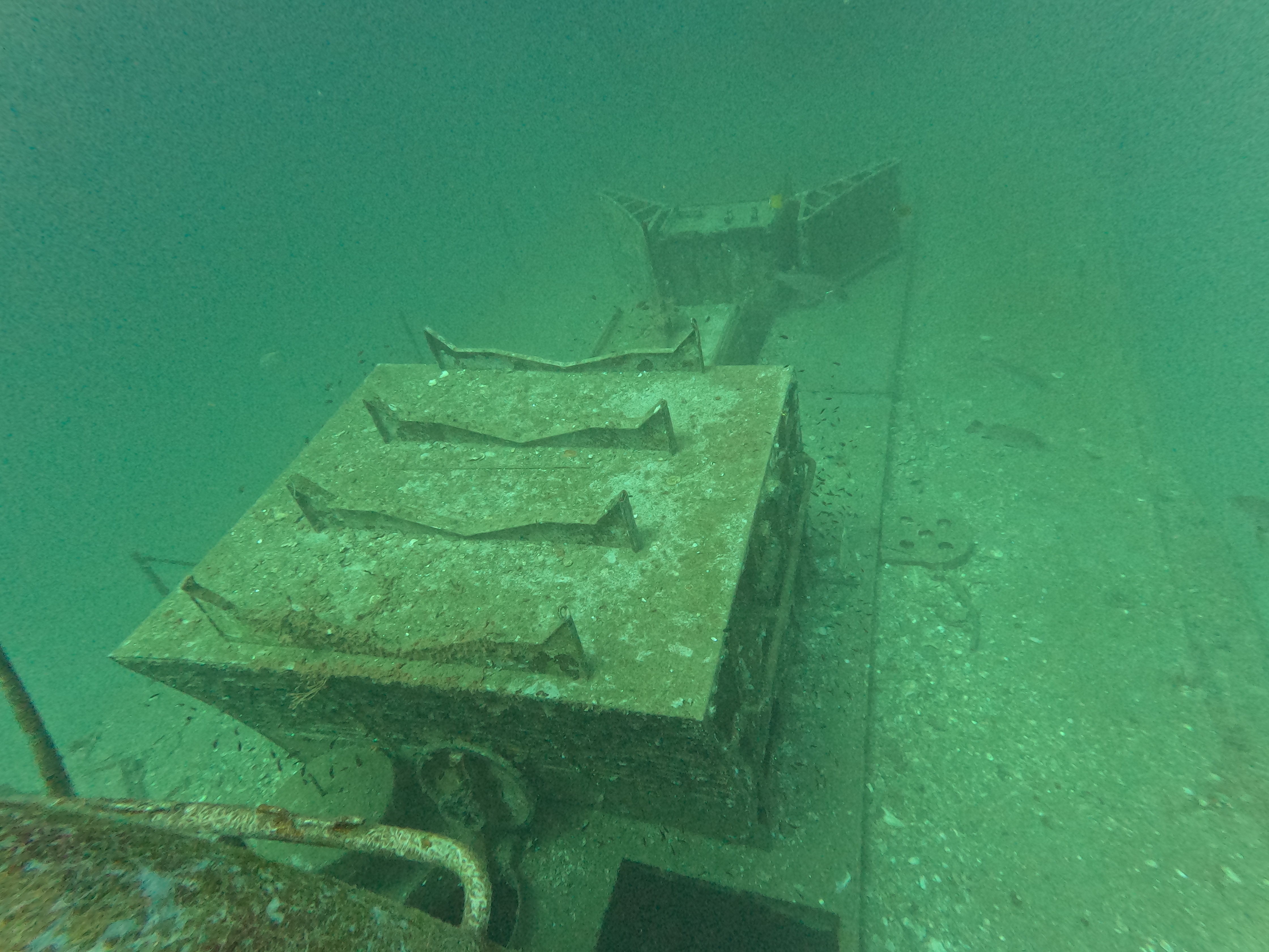 313 - Shipwreck image 5