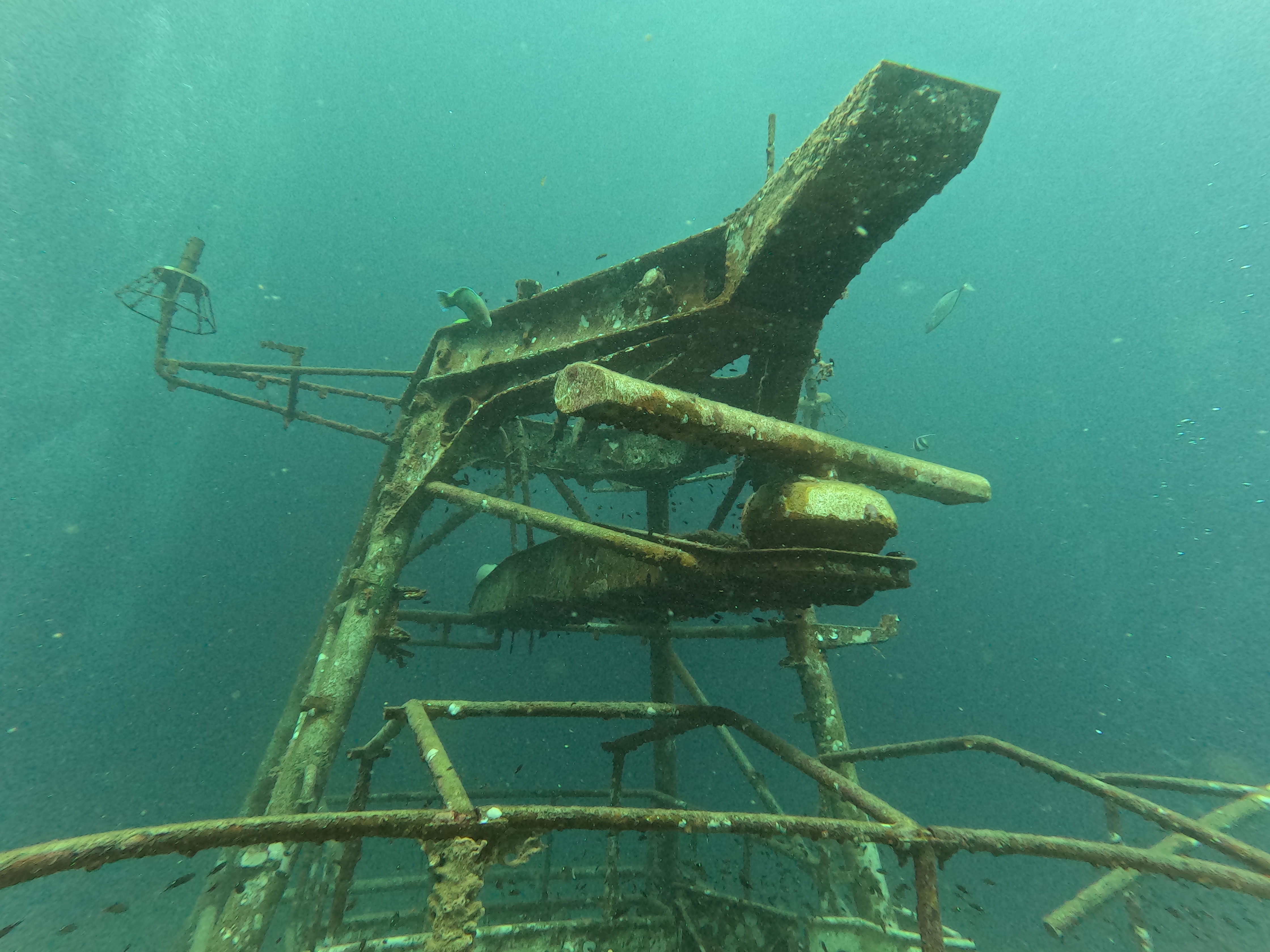 313 - Shipwreck image 6
