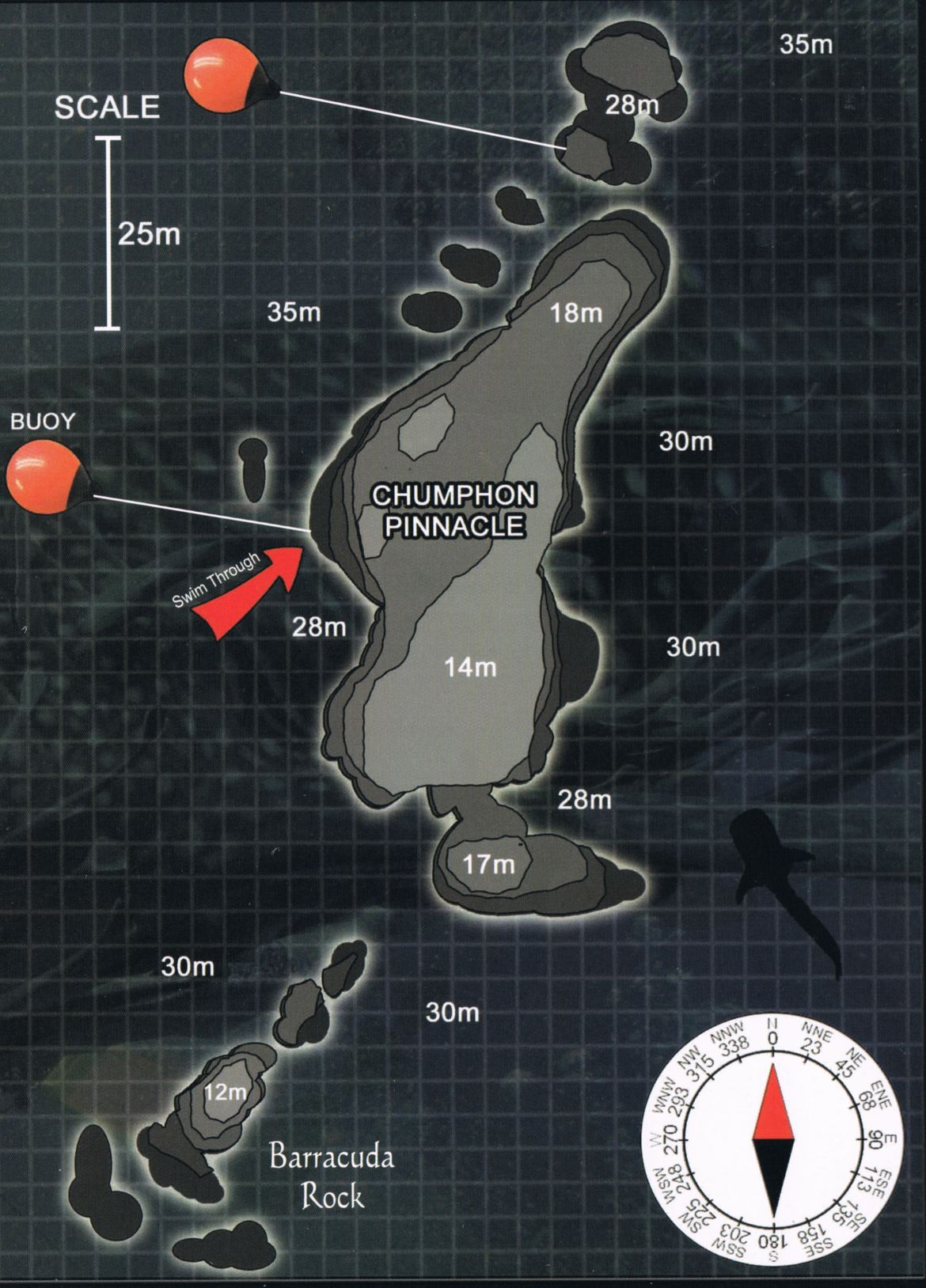 Chumphon Pinnacle image 7