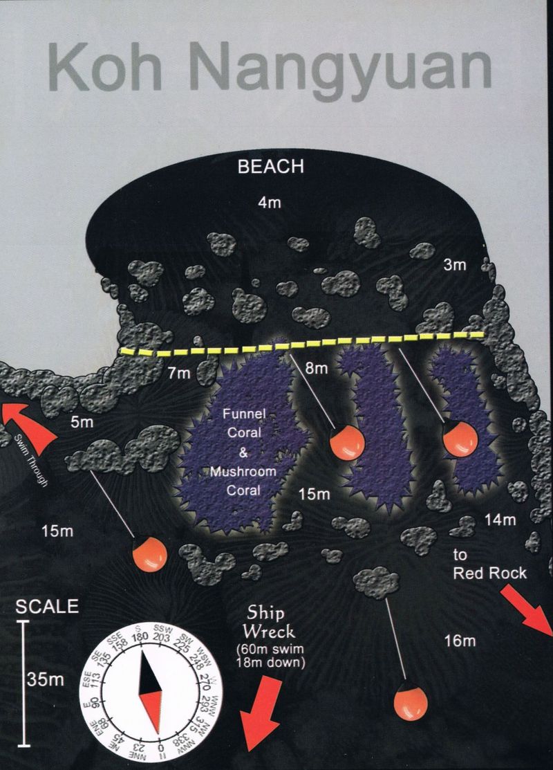 Japanese Gardens image 2