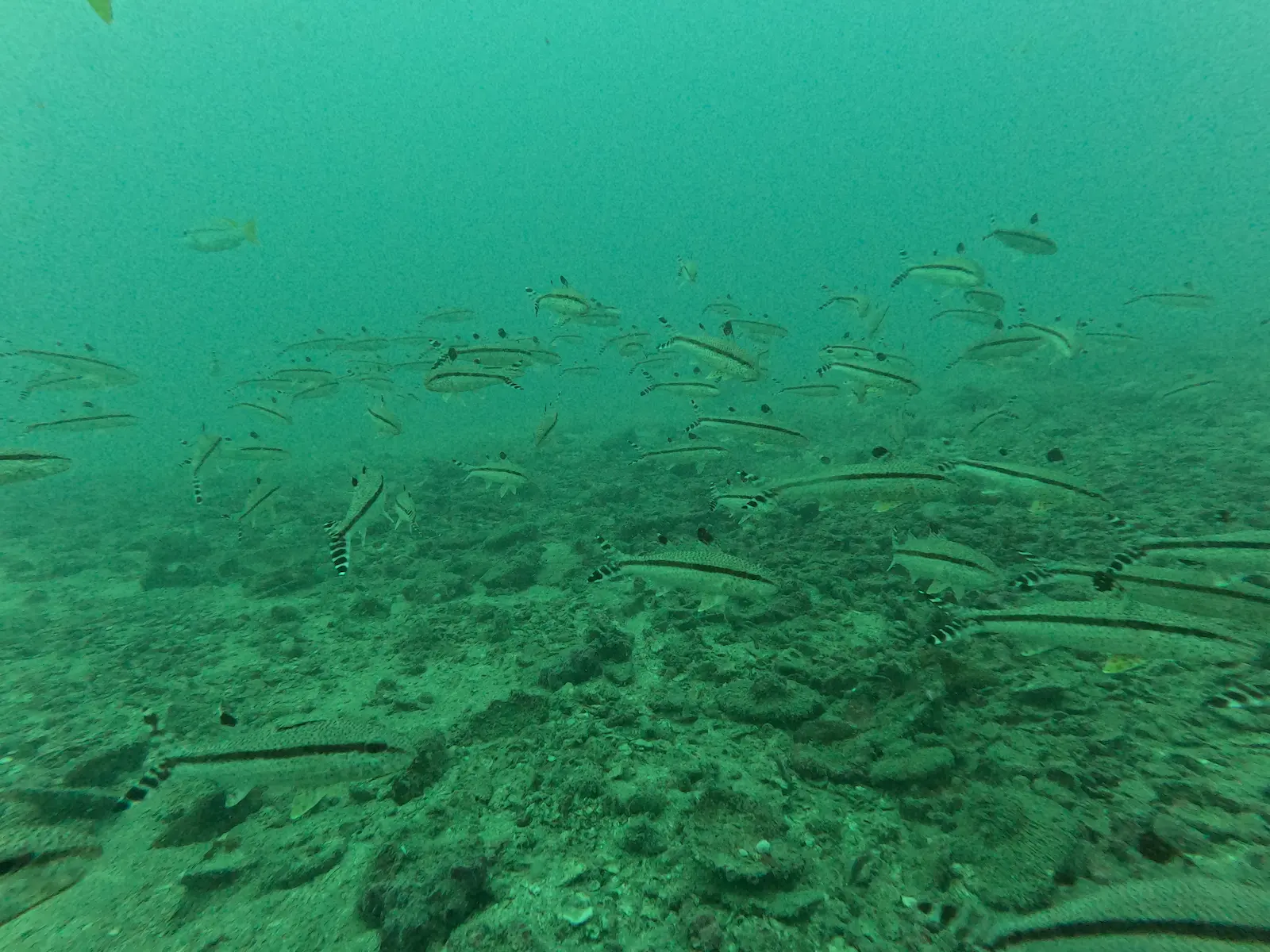 Sattakut - Shipwreck 5